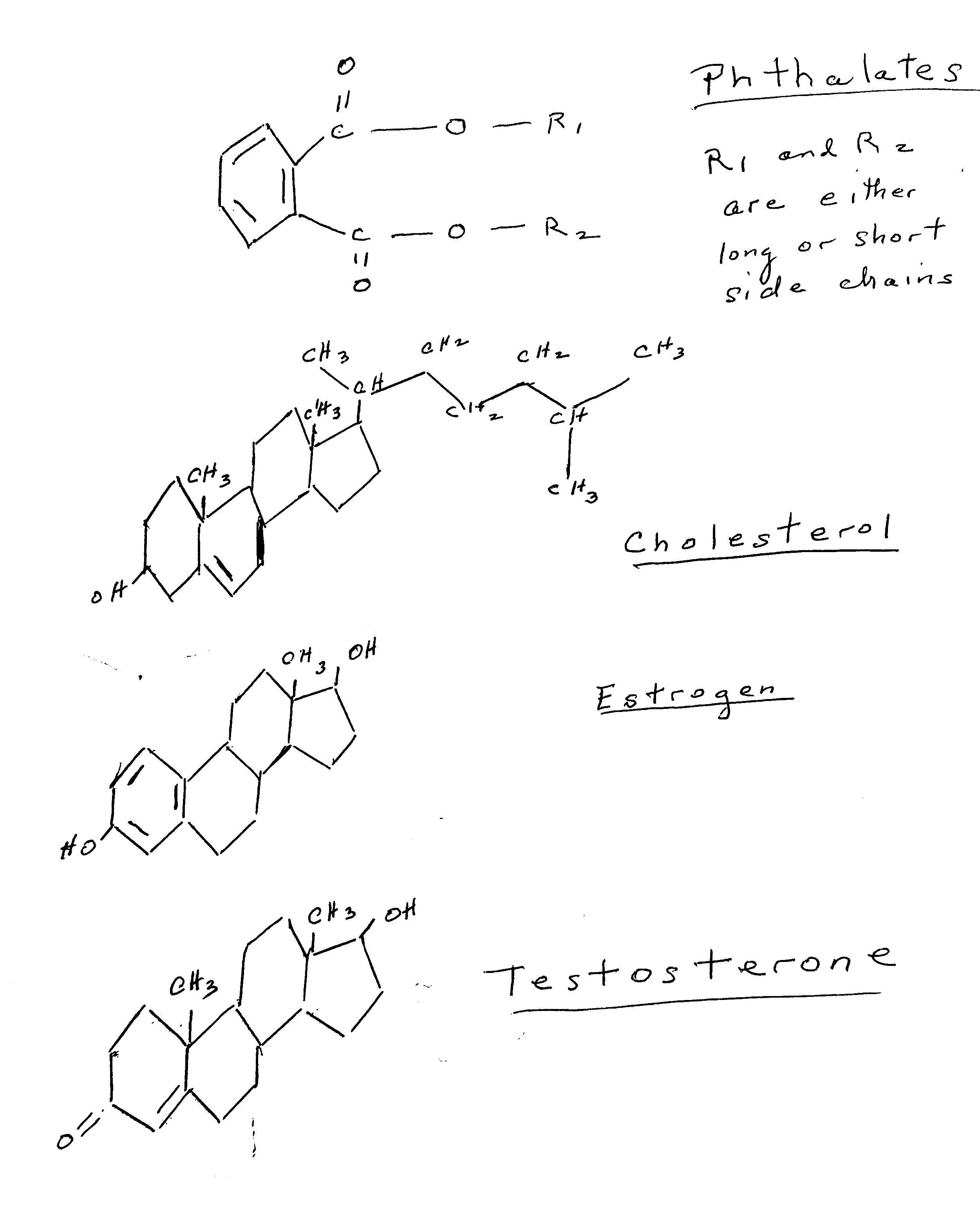 Phthalates and Reproductive Health